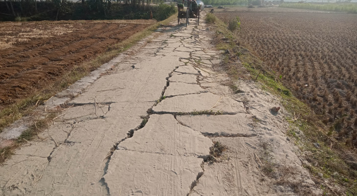 বগুড়ার সোনাতলায় নিমেরপাড়া-লোহাগাড়া রাস্তায় দেবে গেছে 